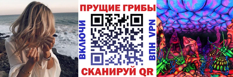 Псилоцибиновые грибы Cubensis  Камышин 