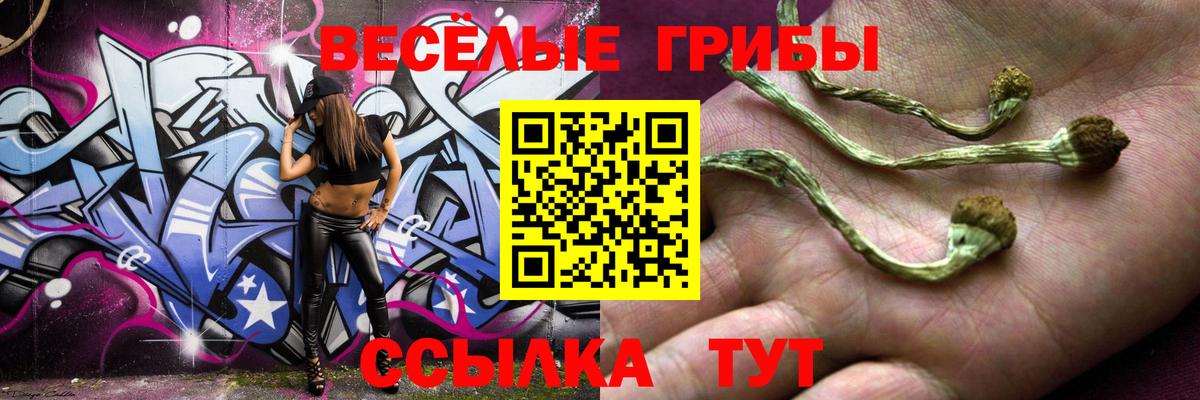 Галлюциногенные грибы Cubensis Камышин