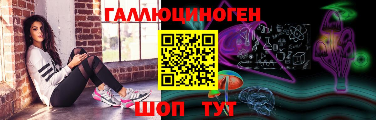 Камышин  Галлюциногенные грибы Psilocybe  купить  сайты  Вход с VPN  Галлюциногенные грибы Magic Shrooms 